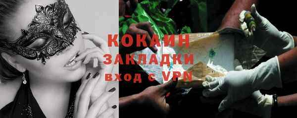 молекула духа Мегион