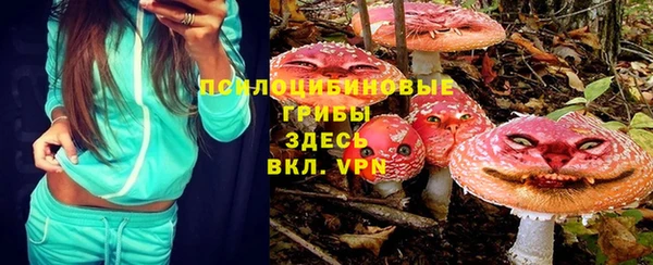 кокс Магас