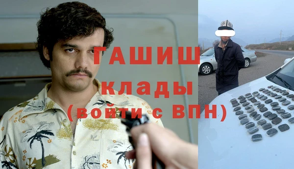 молекула духа Мегион