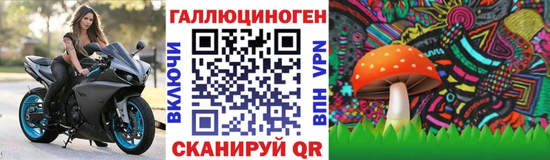 Псилоцибиновые грибы Psilocybine cubensis  маркетплейс какой сайт  Собинка 